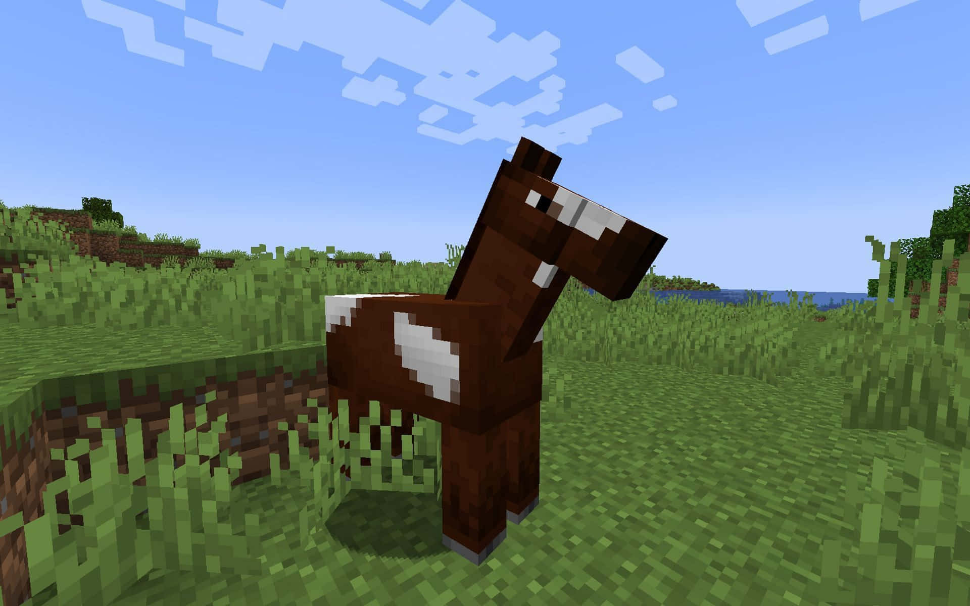 Minecraft, brown horse, white markings, Full HD Desktop Wallpaper