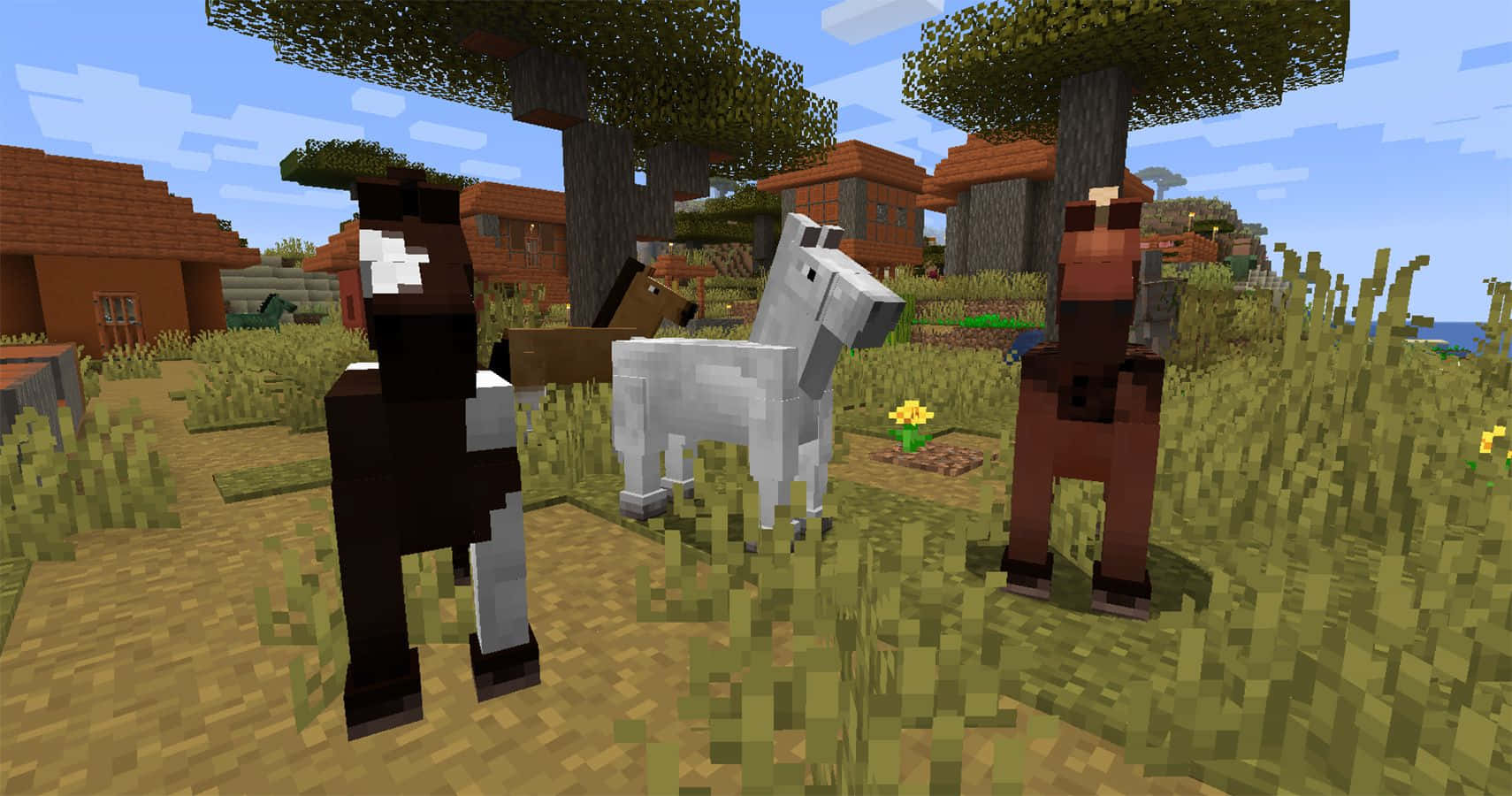 Minecraft Horses, grassy Minecraft village, bright blue sky, HD Desktop Wallpaper