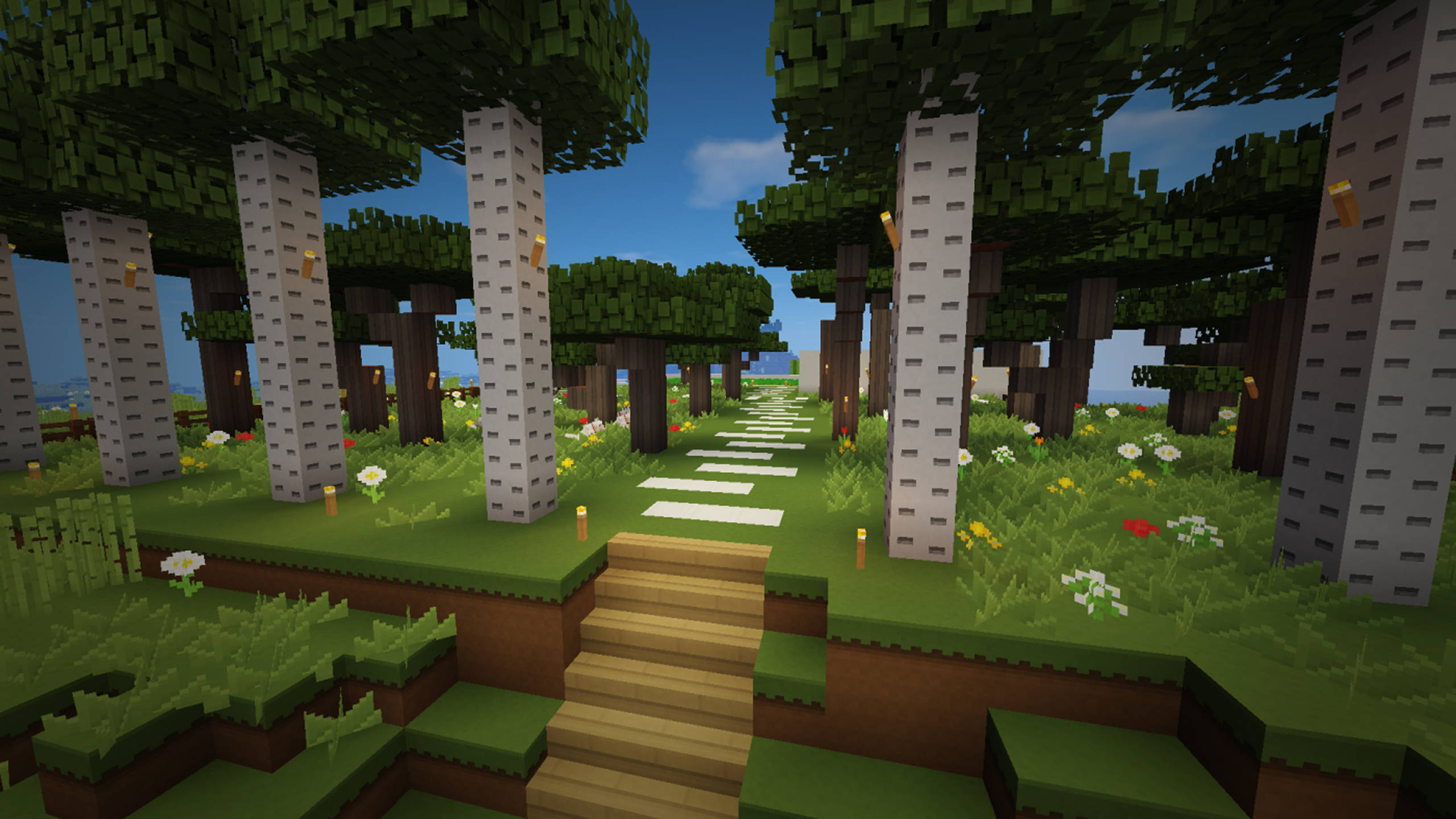 white stone path, birch trees, grass flowers, 2K Desktop Wallpaper