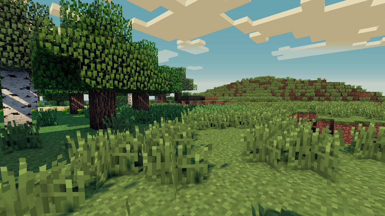 Minecraft, green field, blocky, HD Desktop Wallpaper