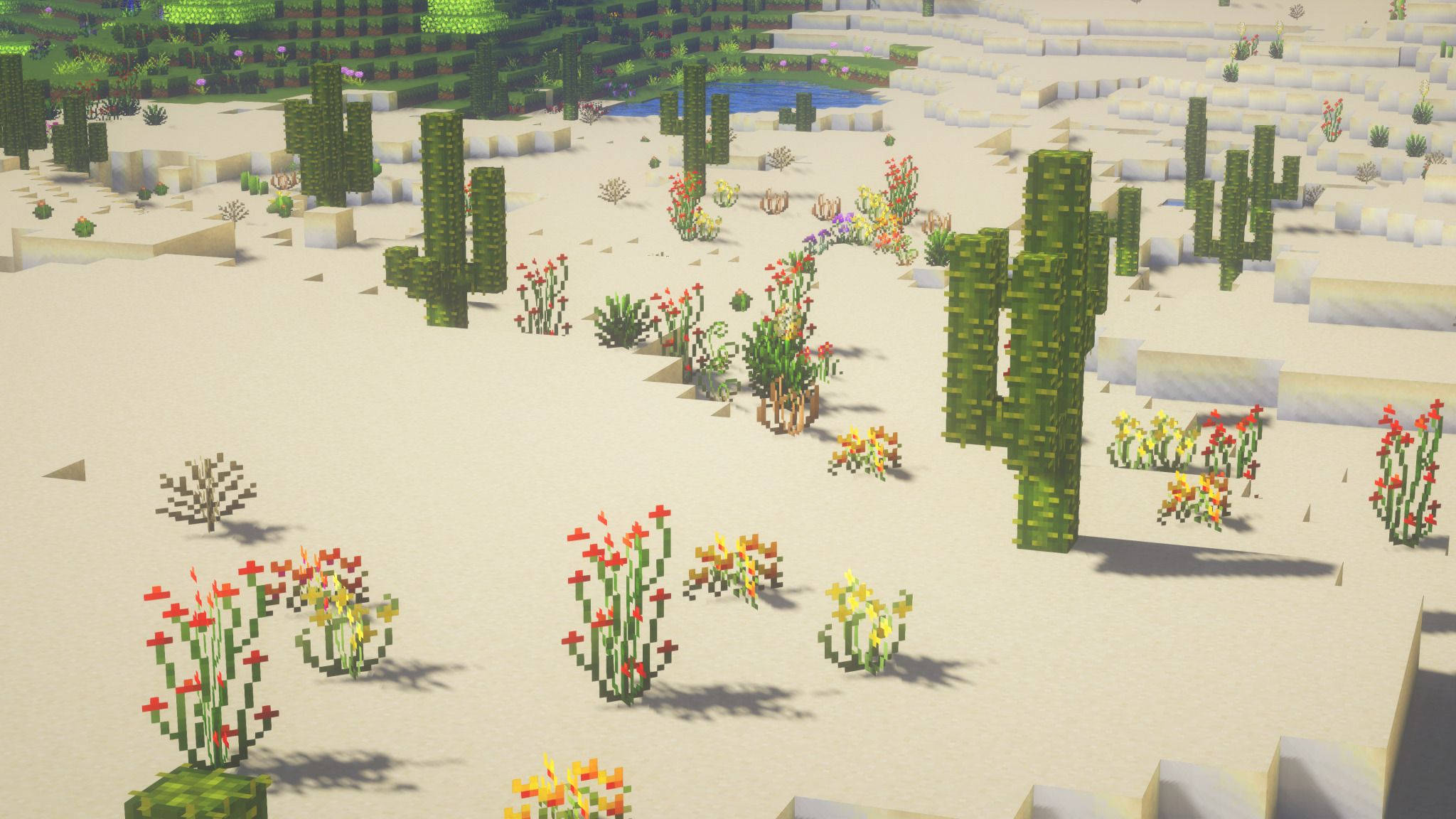 Minecraft, cactus plants, pixelated desert landscape, Full HD Desktop Wallpaper