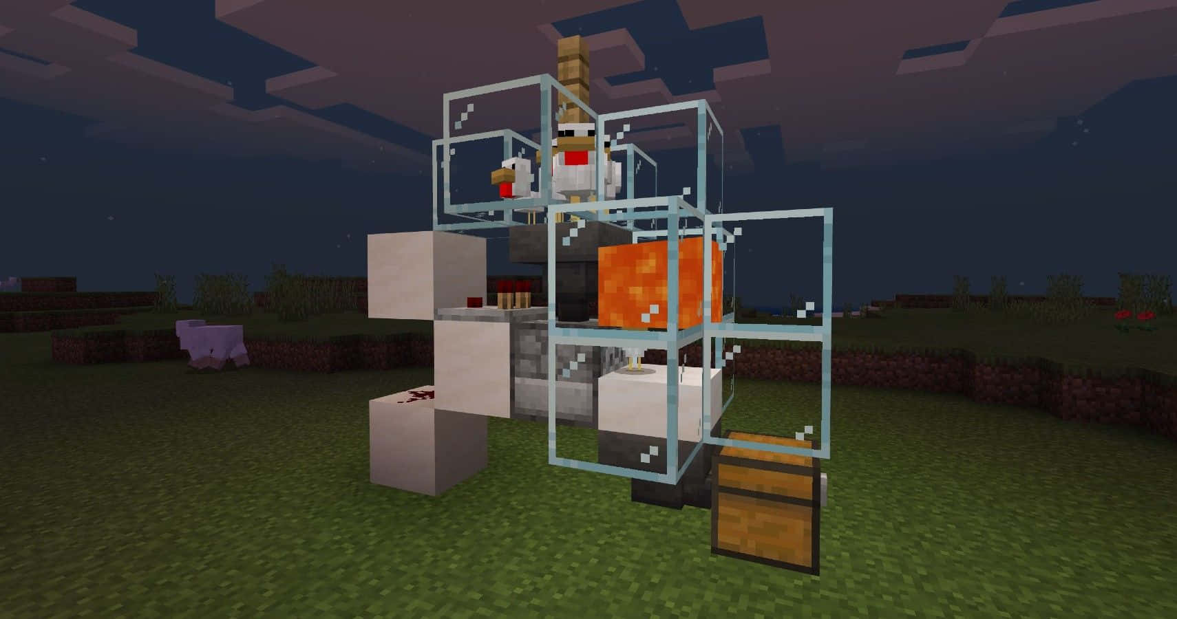 Minecraft, chicken, glass-enclosed structure, HD Desktop Wallpaper
