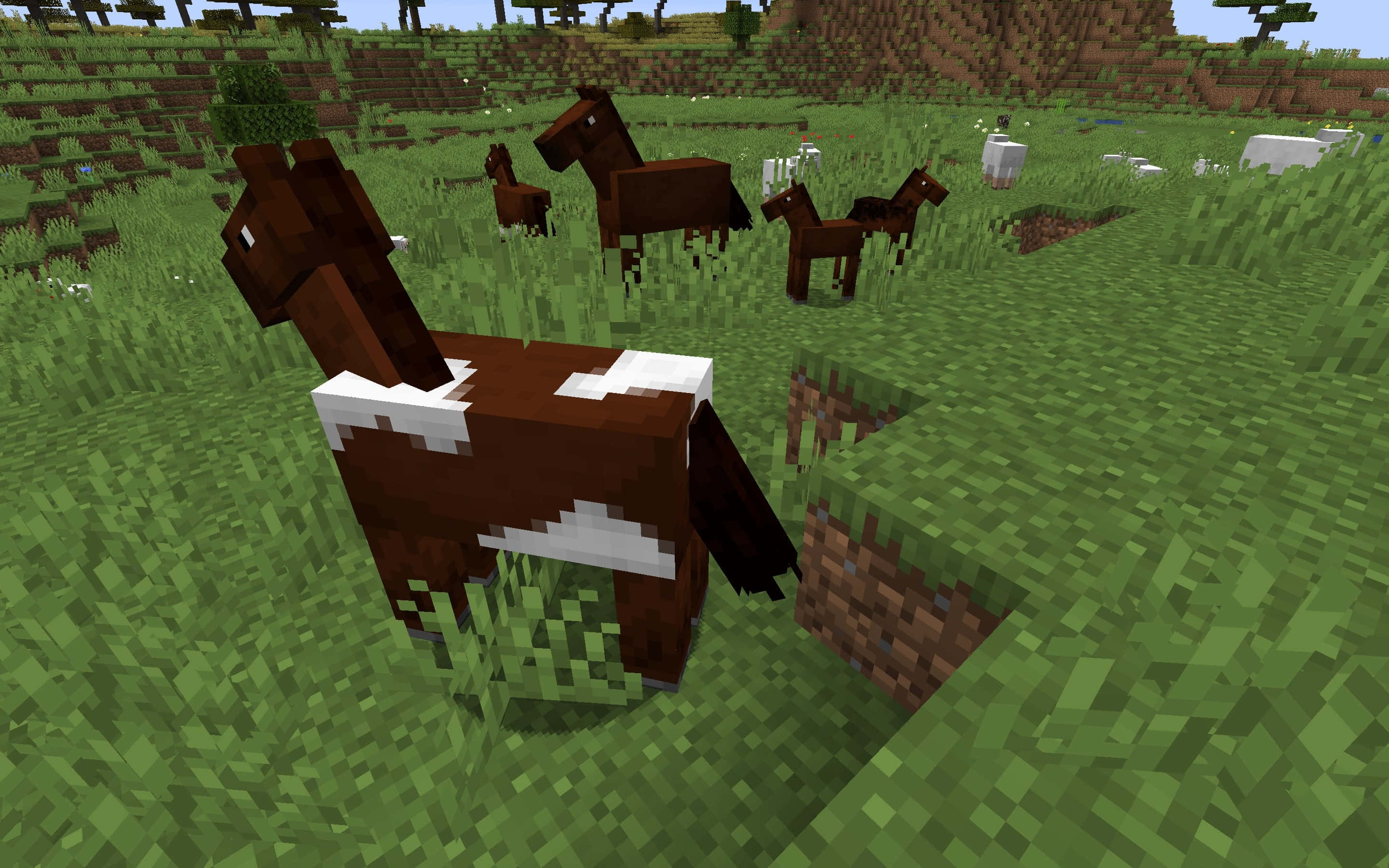 Minecraft, pixelated brown horses with white markings, blocky green field, 2K Desktop Wallpaper