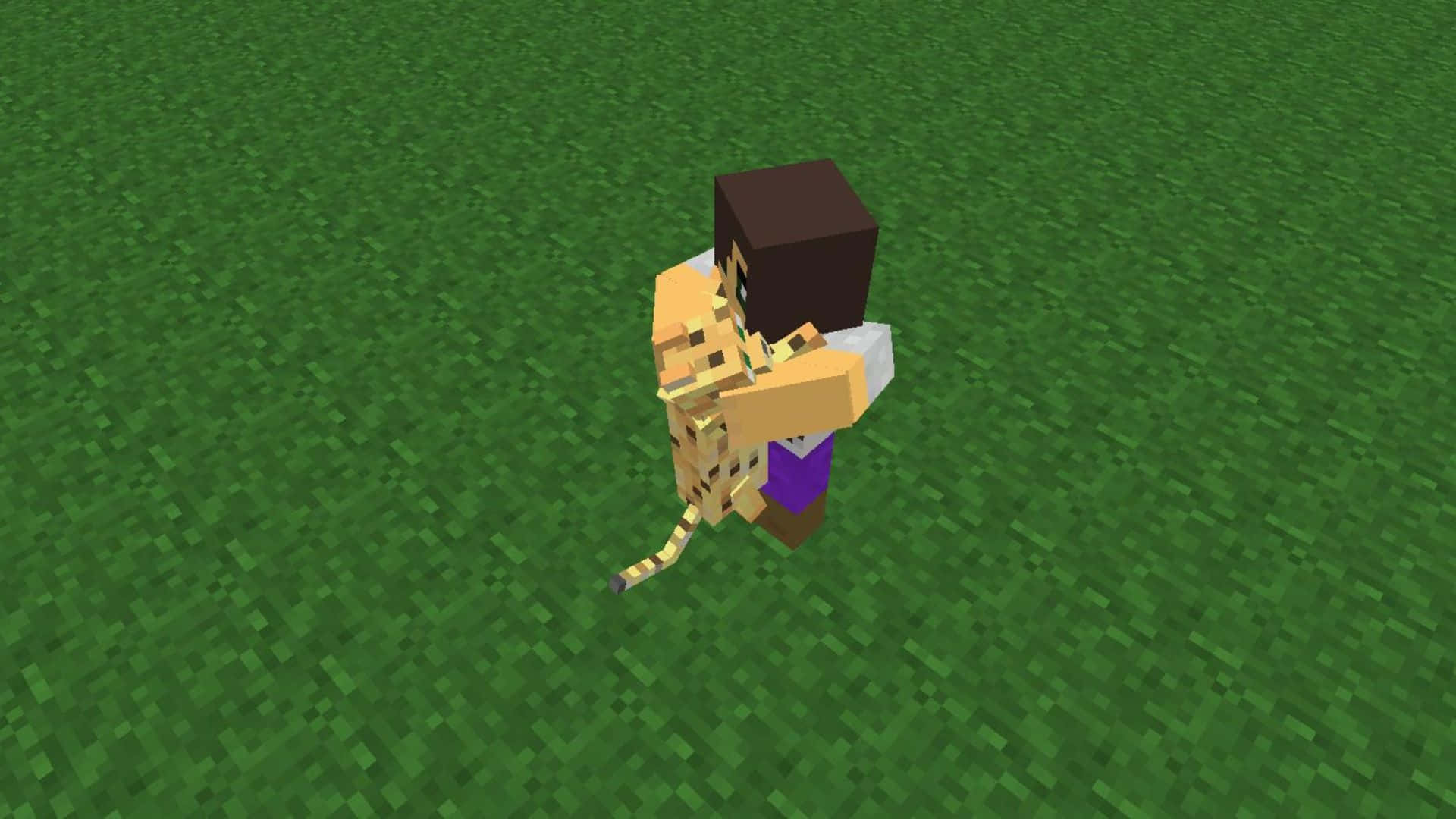 Minecraft, ocelot, pixelated grassy field, Full HD Desktop Wallpaper