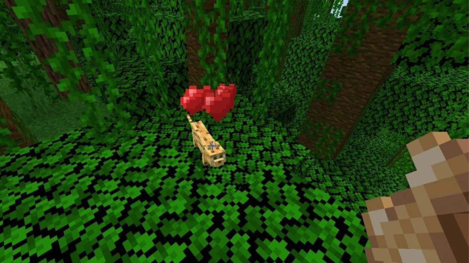 Minecraft Ocelot, pixelated cat, floating red hearts, Full HD Desktop Wallpaper