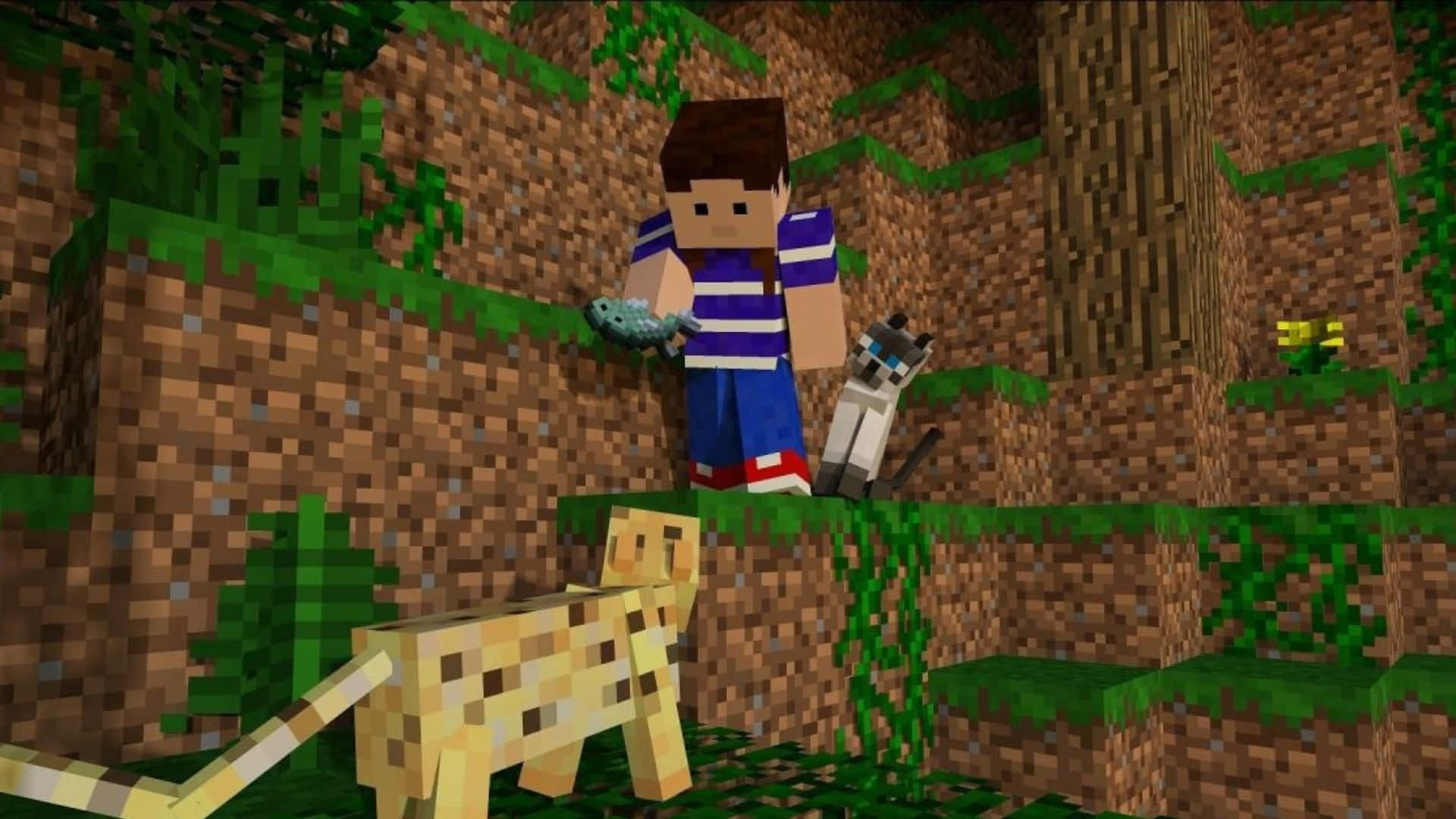 Minecraft Ocelot, grass clif, fish, Full HD Desktop Wallpaper