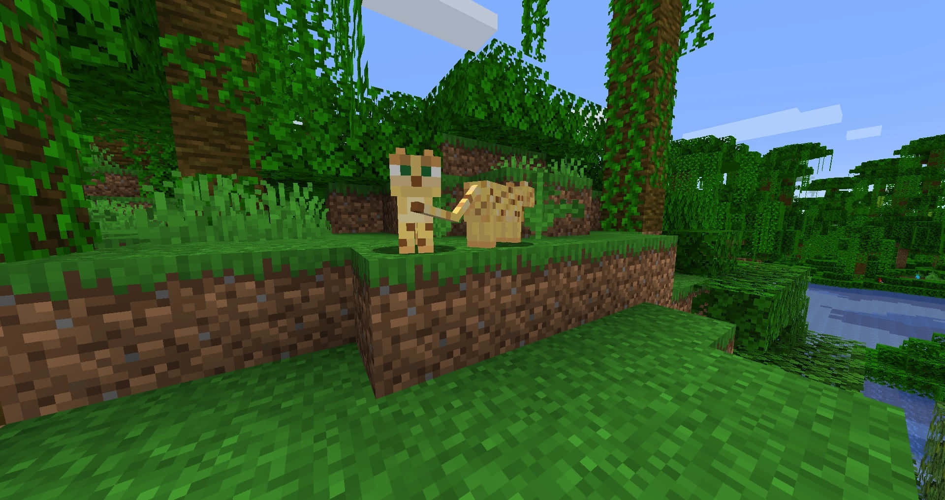 Minecraft Ocelot, pixelated cats, grassy ledge, Full HD Desktop Wallpaper