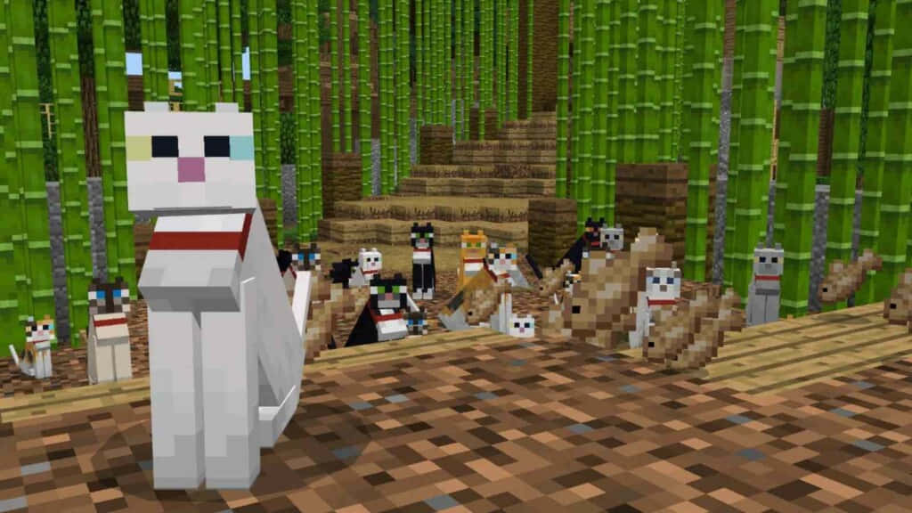 Minecraft, pixelated white cat, red collar, SD Desktop Wallpaper