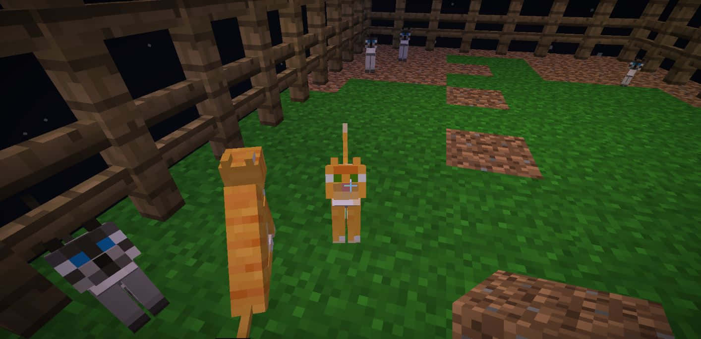 Minecraft Pets, pixelated cats, fenced yard, HD Desktop Wallpaper