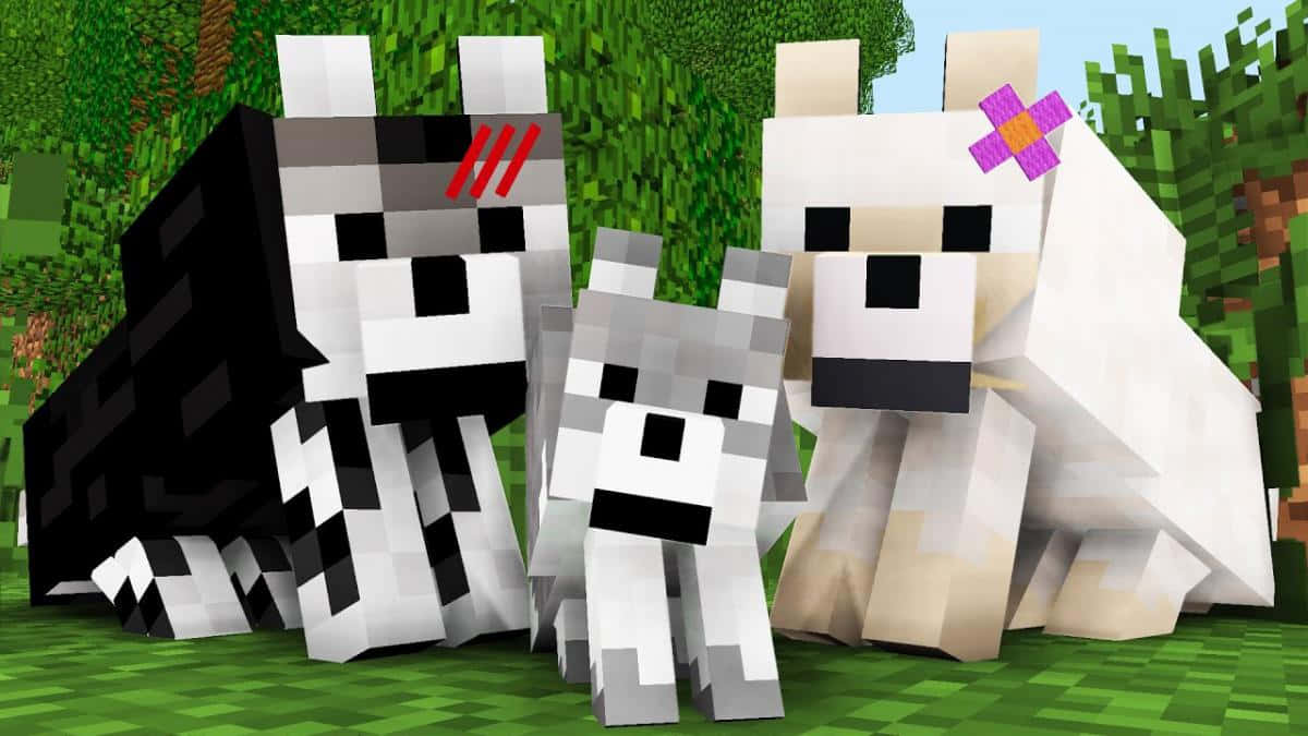 Minecraft Pets, pixelated Minecraft dogs, distinct markings, SD Desktop Wallpaper
