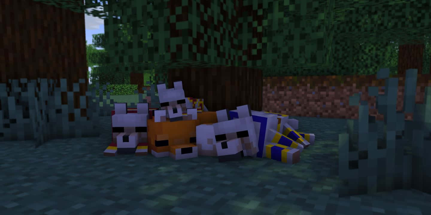 Minecraft Pets, pixelated foxes, Minecraft forest, HD Desktop Wallpaper