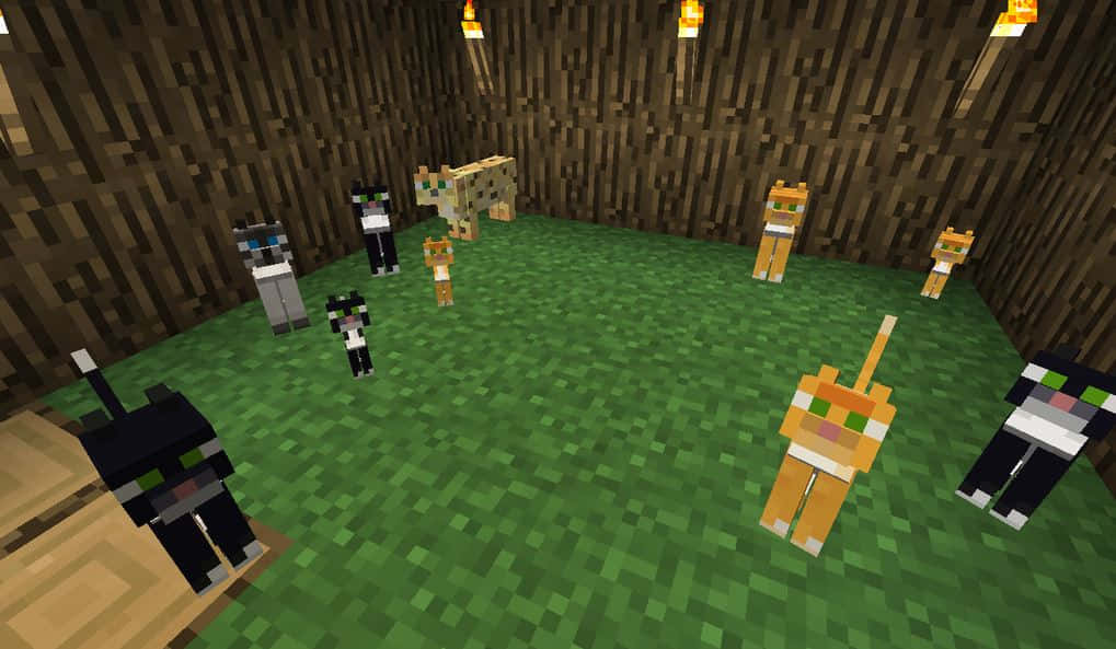 Minecraft, Minecraft cats, dog, SD Desktop Wallpaper