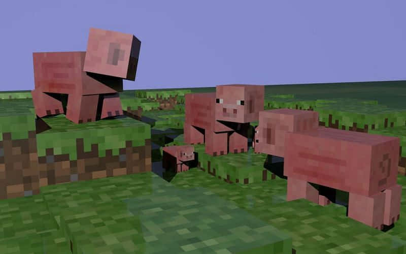 Minecraft, pink pigs, blocky, SD Desktop Wallpaper