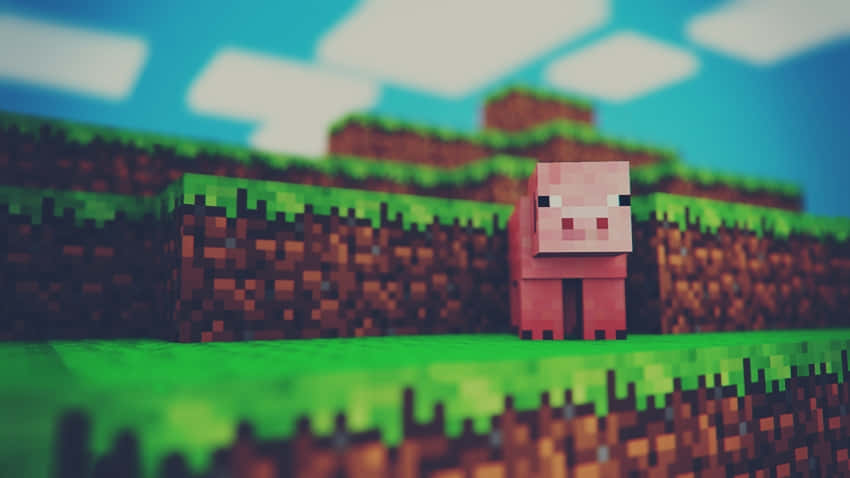 Minecraft, pig, pink, SD Desktop Wallpaper