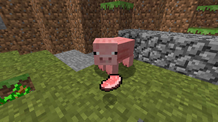 Minecraft, pig, pixelated pink pig, SD Desktop Wallpaper