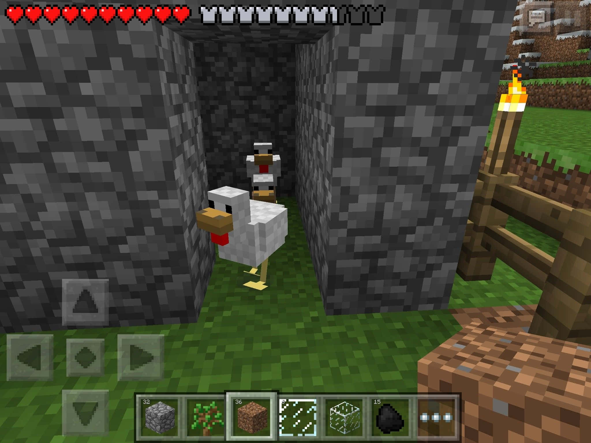 Minecraft Pocket Edition, pixelated chicken, stone tunnel, Full HD Desktop Wallpaper