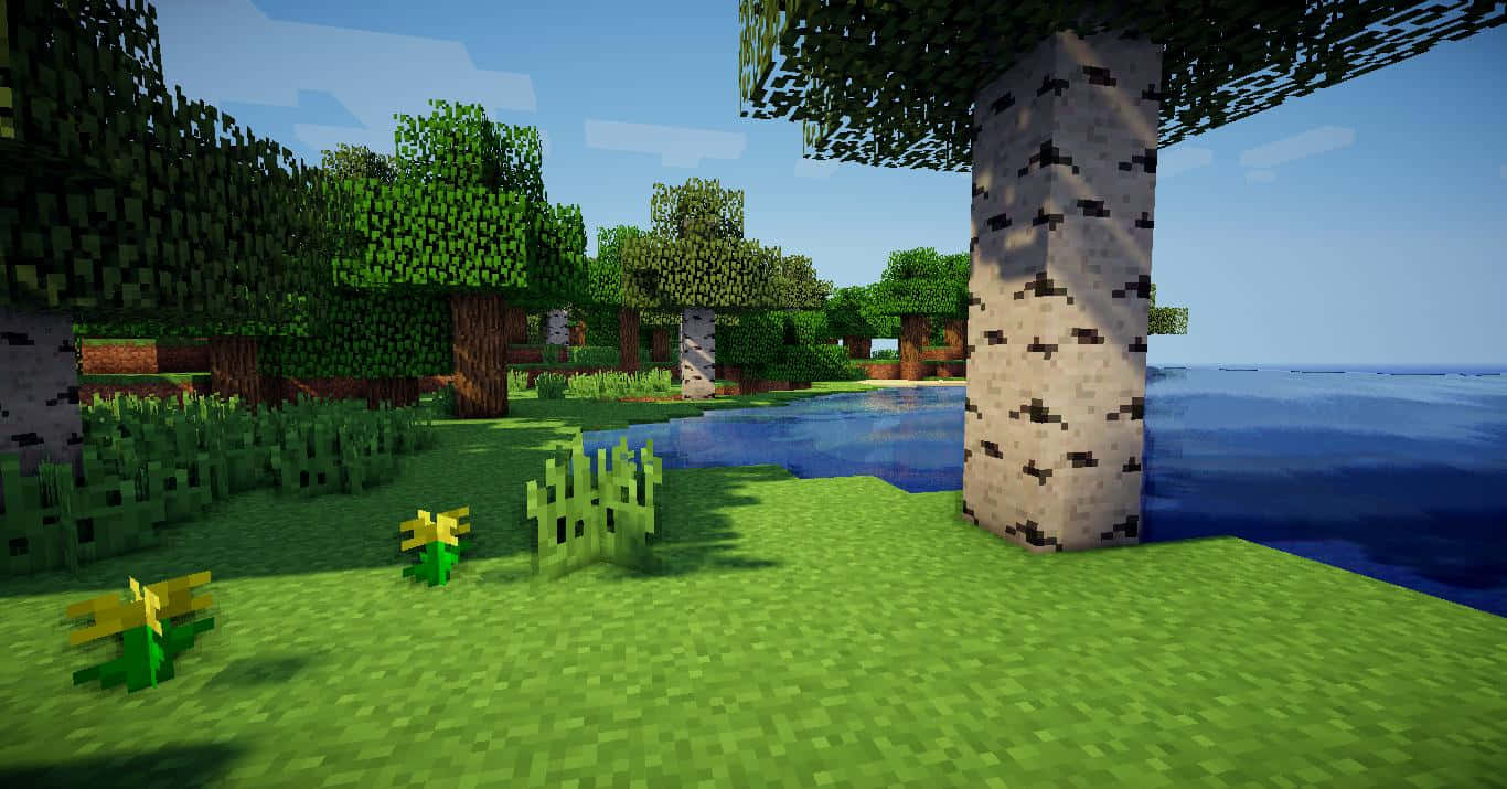 Minecraft Pocket Edition, birch trees, green grass, HD Desktop Wallpaper