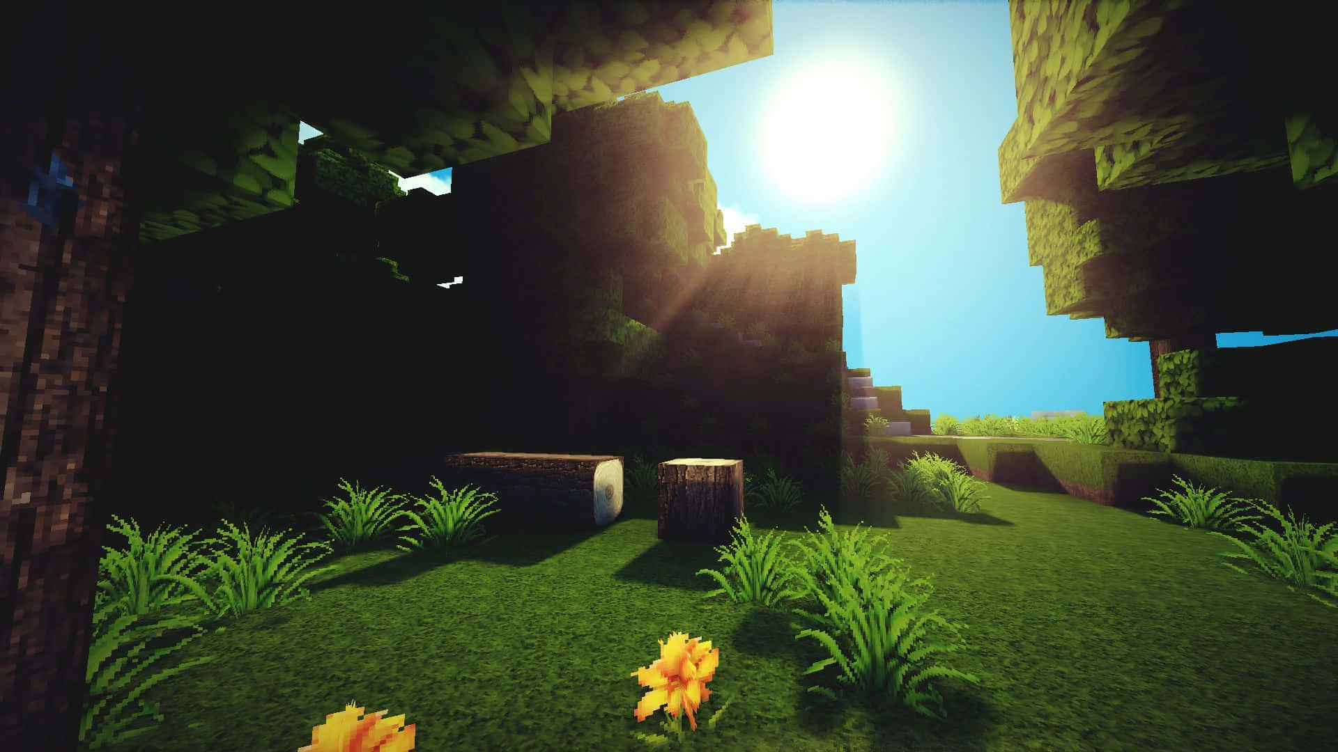 Minecraft Pocket Edition, pixelated forest clearing, blocky trees, Full HD Desktop Wallpaper