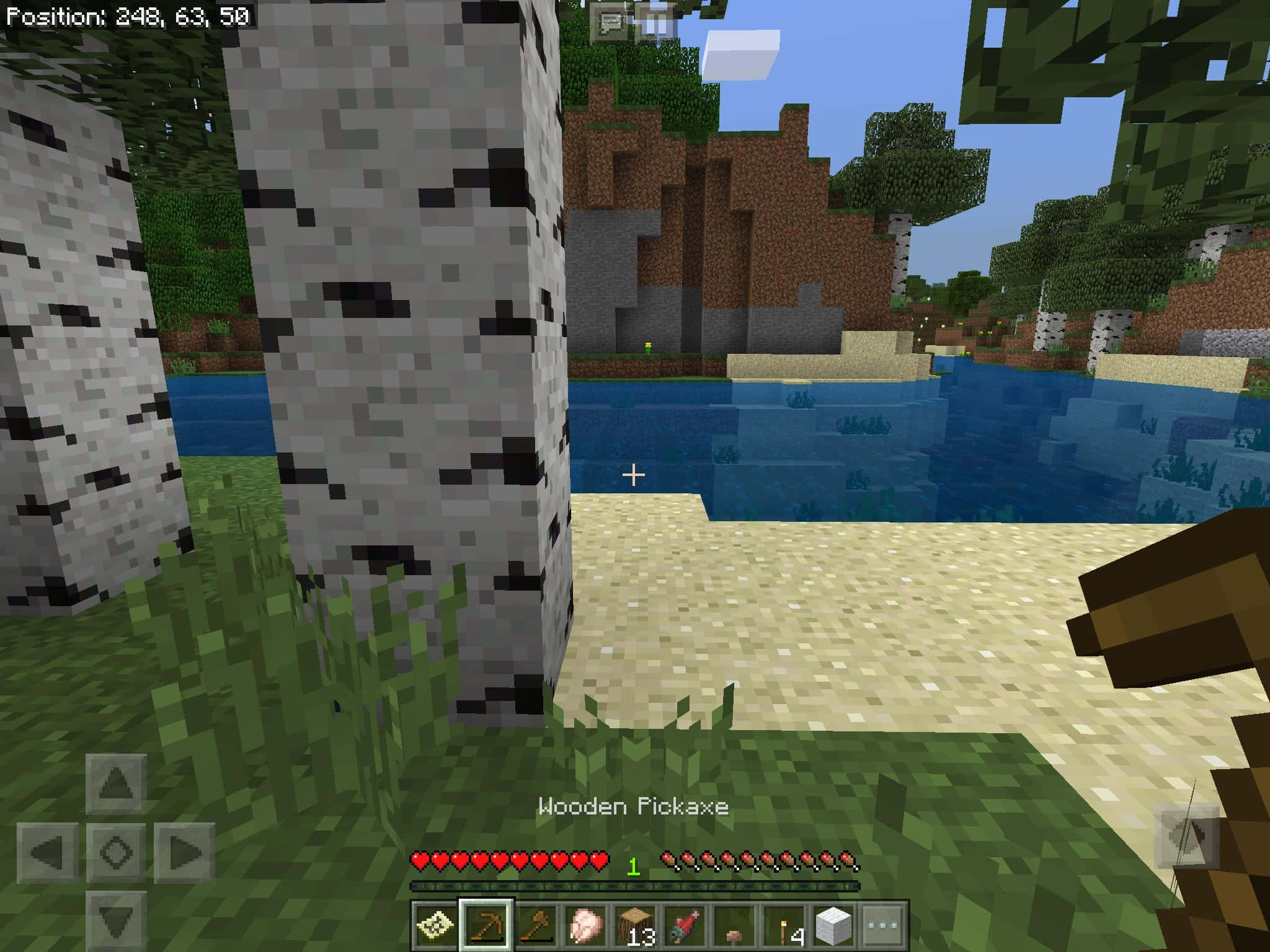 Minecraft Pocket Edition, birch trees, blue river, Full HD Desktop Wallpaper
