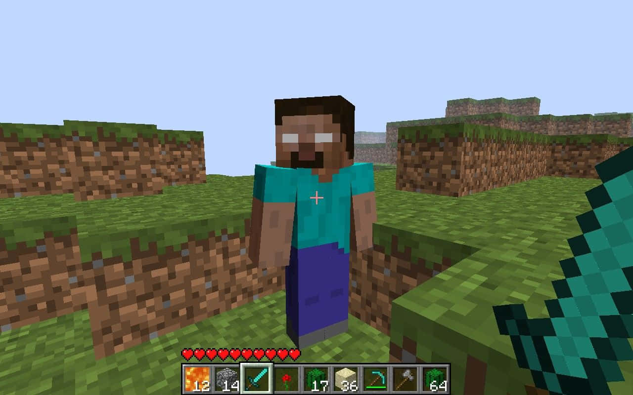 Minecraft Pocket Edition, pixelated Minecraft player, grassy blocky landscape, HD Desktop Wallpaper