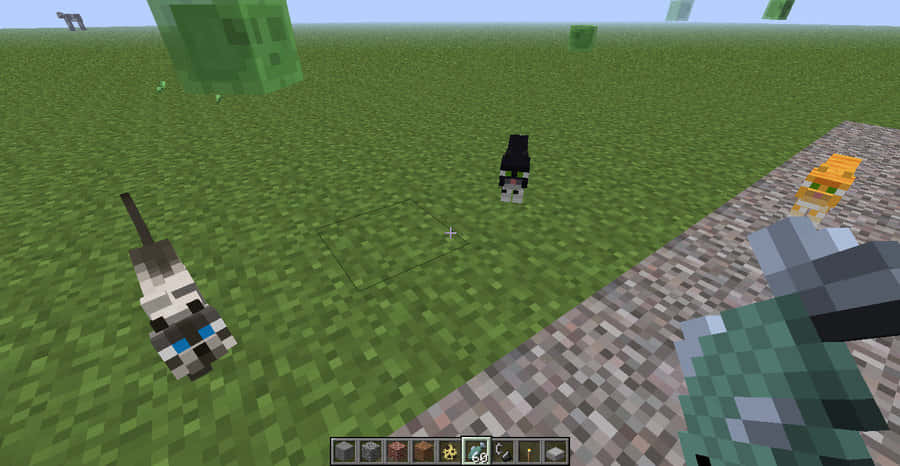 Minecraft Pocket Edition, pixelated grass cats, diamond sword, SD Desktop Wallpaper