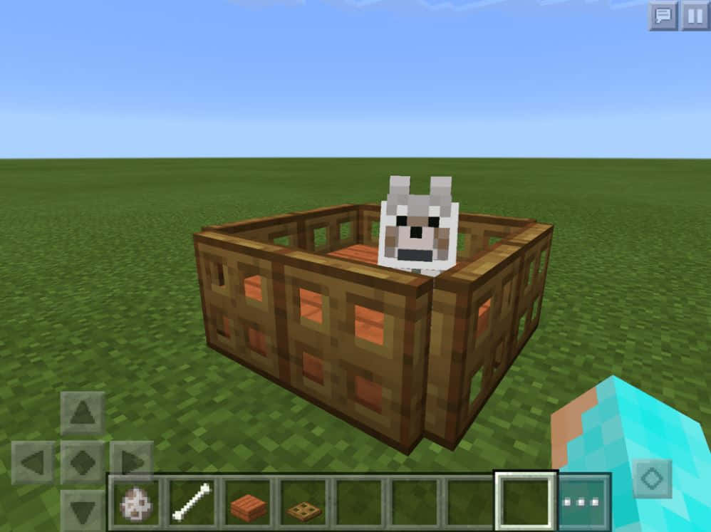 Minecraft Pocket Edition, pixelated wolf, wooden crate, SD Desktop Wallpaper