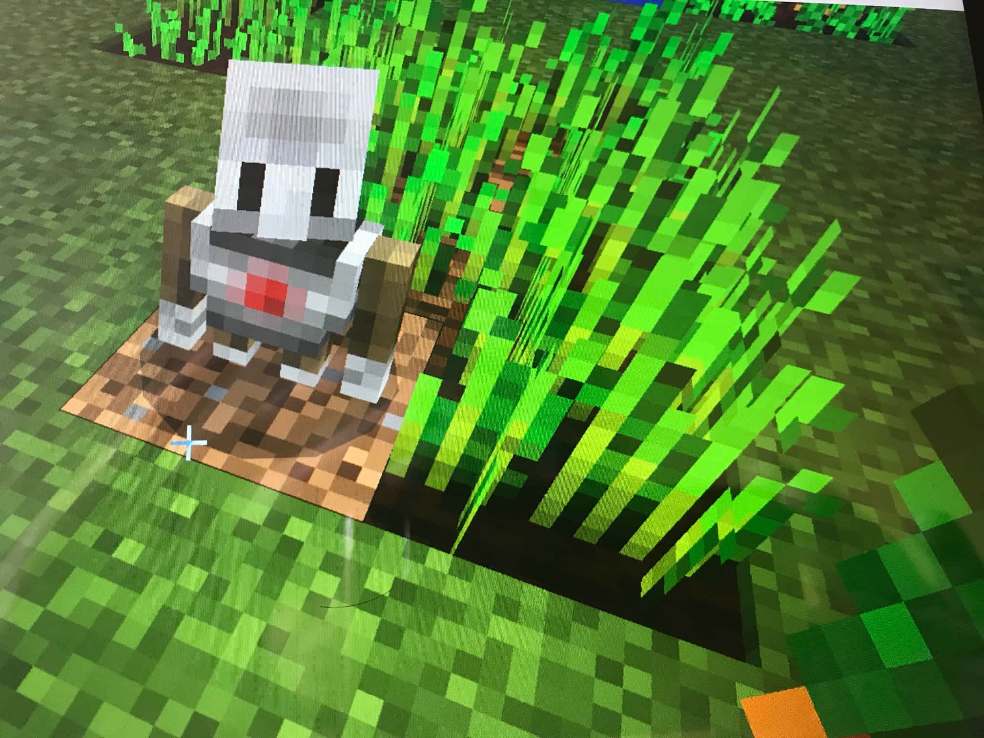 Minecraft, skeleton, grassy field, Full HD Desktop Wallpaper