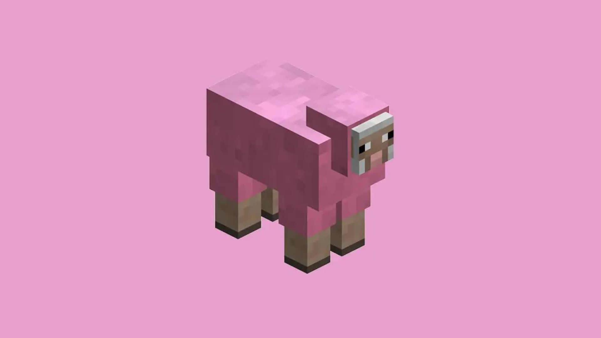 Minecraft, pink sheep, voxel world, Full HD Desktop Wallpaper