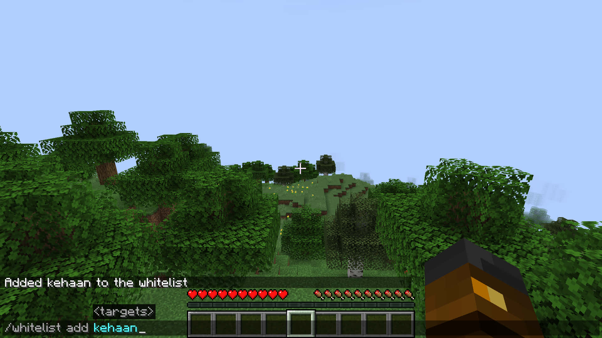 Minecraft, first-person view, lush green forest, Full HD Desktop Wallpaper