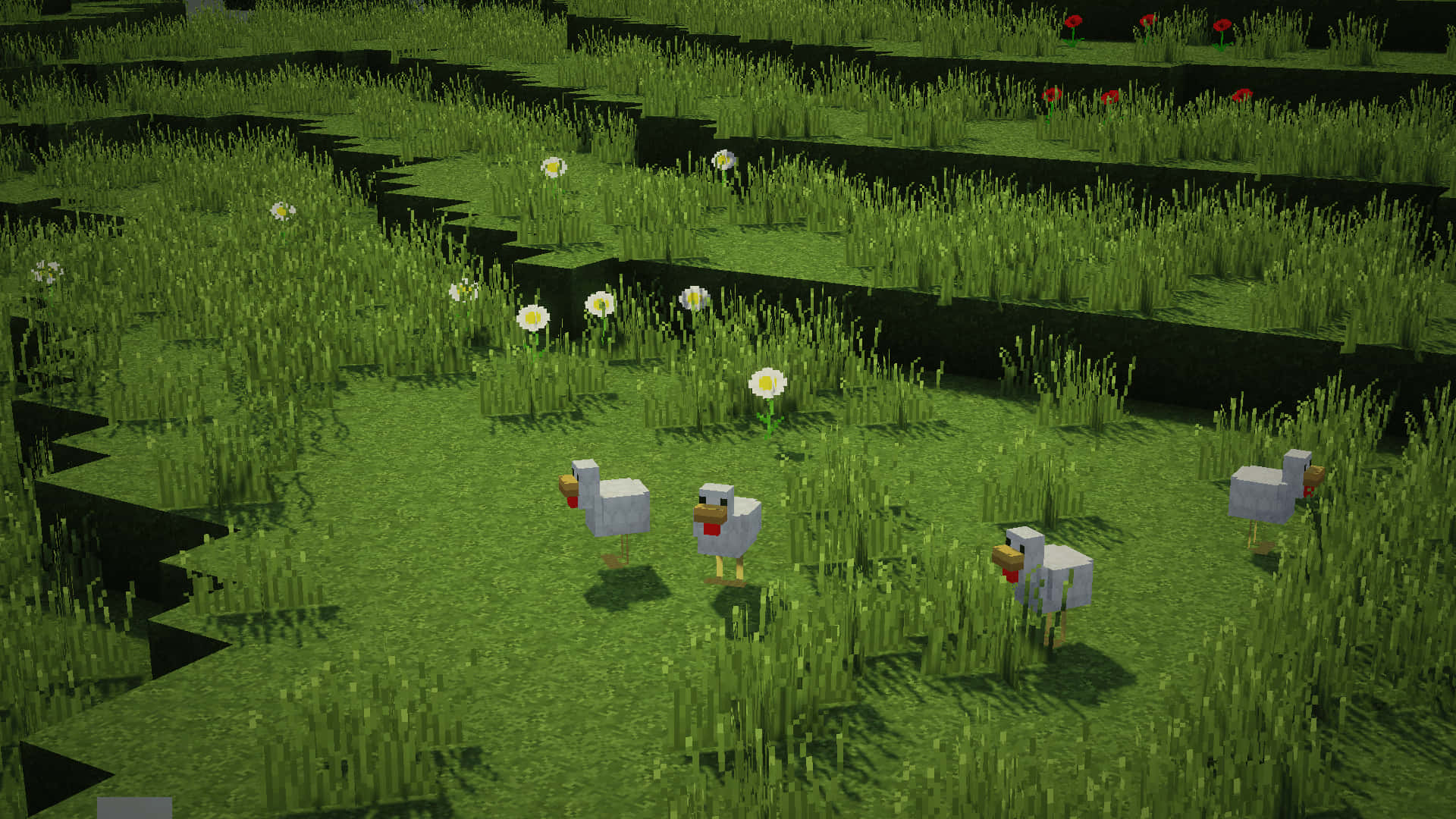 Minecraft Shaders, blocky chickens, pixelated grassy field, Full HD Desktop Wallpaper