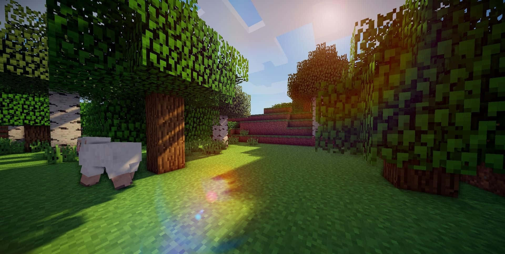 Minecraft Shaders, Minecraft, forest scene, Full HD Desktop Wallpaper