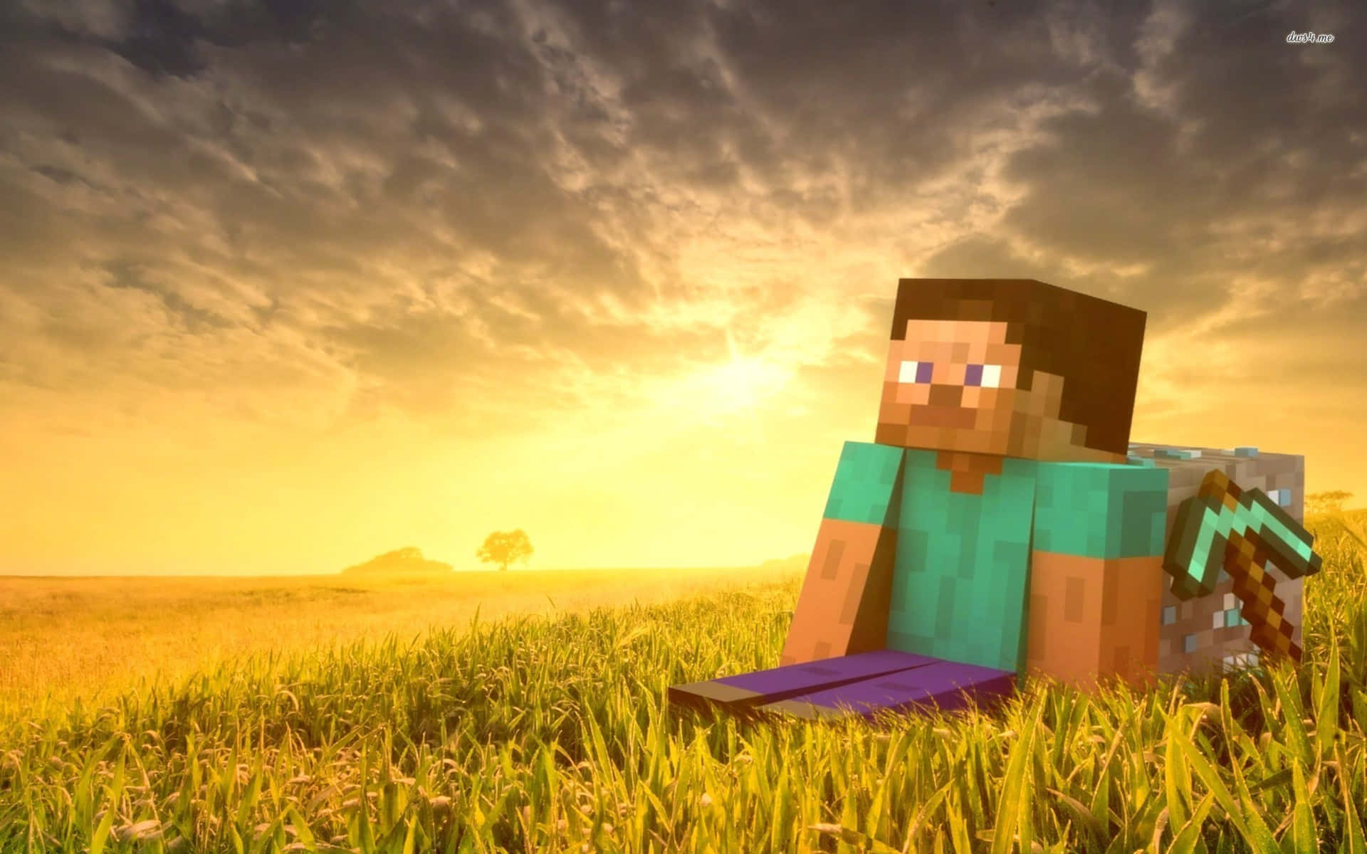 Minecraft, sunset, grassy field, Full HD Desktop Wallpaper