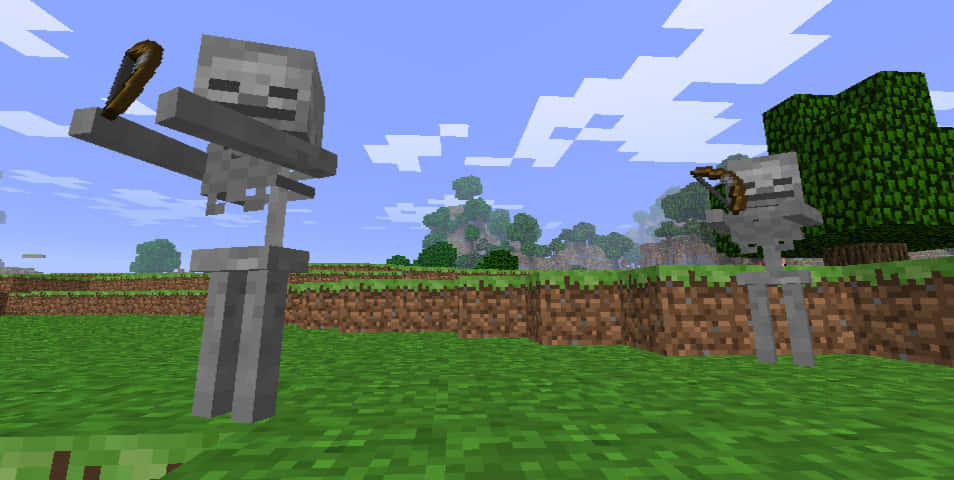 Minecraft Skeleton, pixelated, grassy field, SD Desktop Wallpaper
