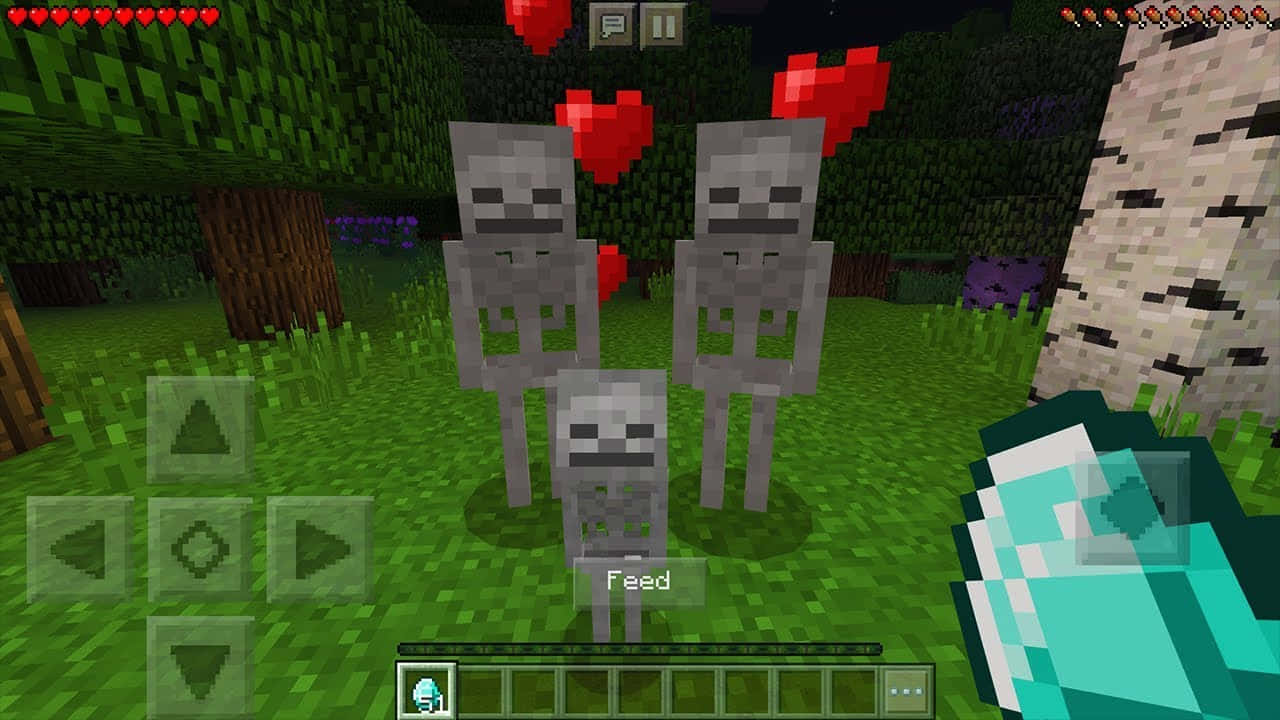 Minecraft Skeleton, pixelated skeletons, grassy Minecraft forest, HD Desktop Wallpaper