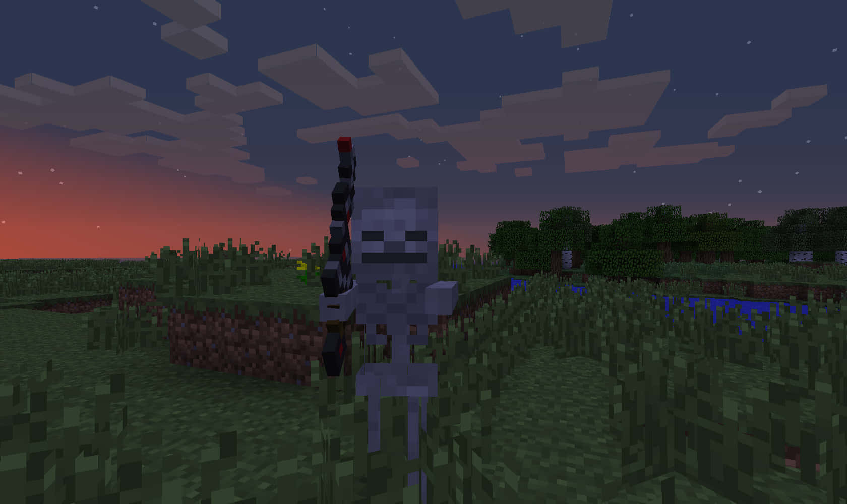 Minecraft Skeleton, sword, grassy field, HD Desktop Wallpaper