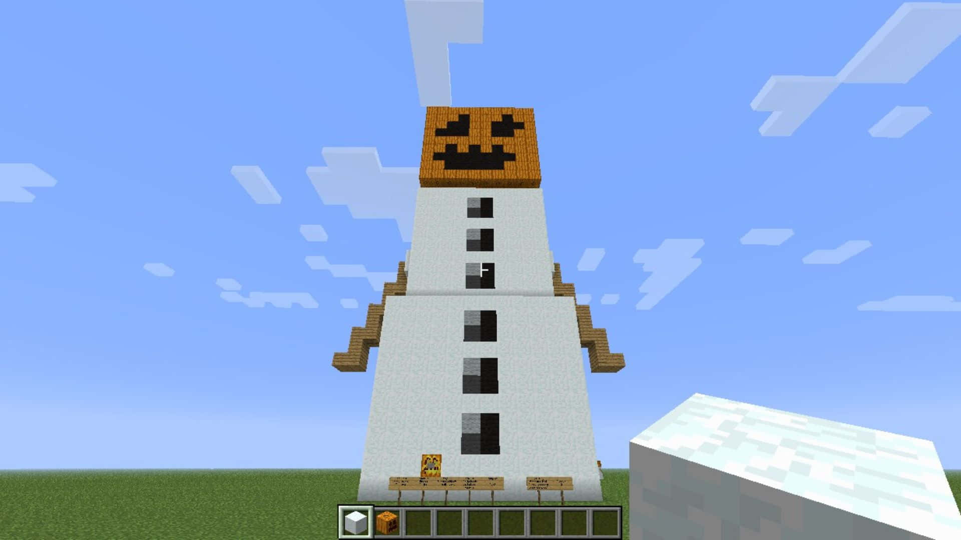 Minecraft Snow Golem, pumpkin head, grassy field, Full HD Desktop Wallpaper