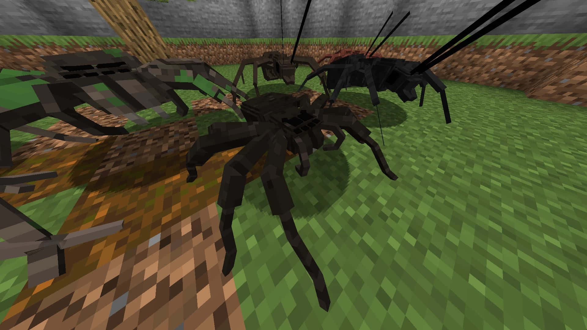 Minecraft Spider, black spiders, grassy terrain, Full HD Desktop Wallpaper
