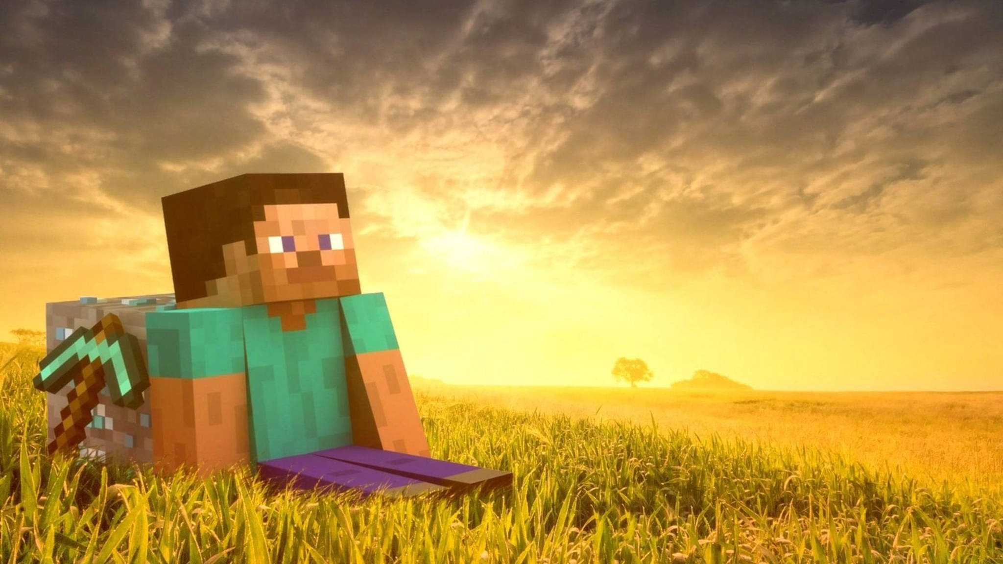 Minecraft Steve, diamond sword, grassy field, Full HD Desktop Wallpaper