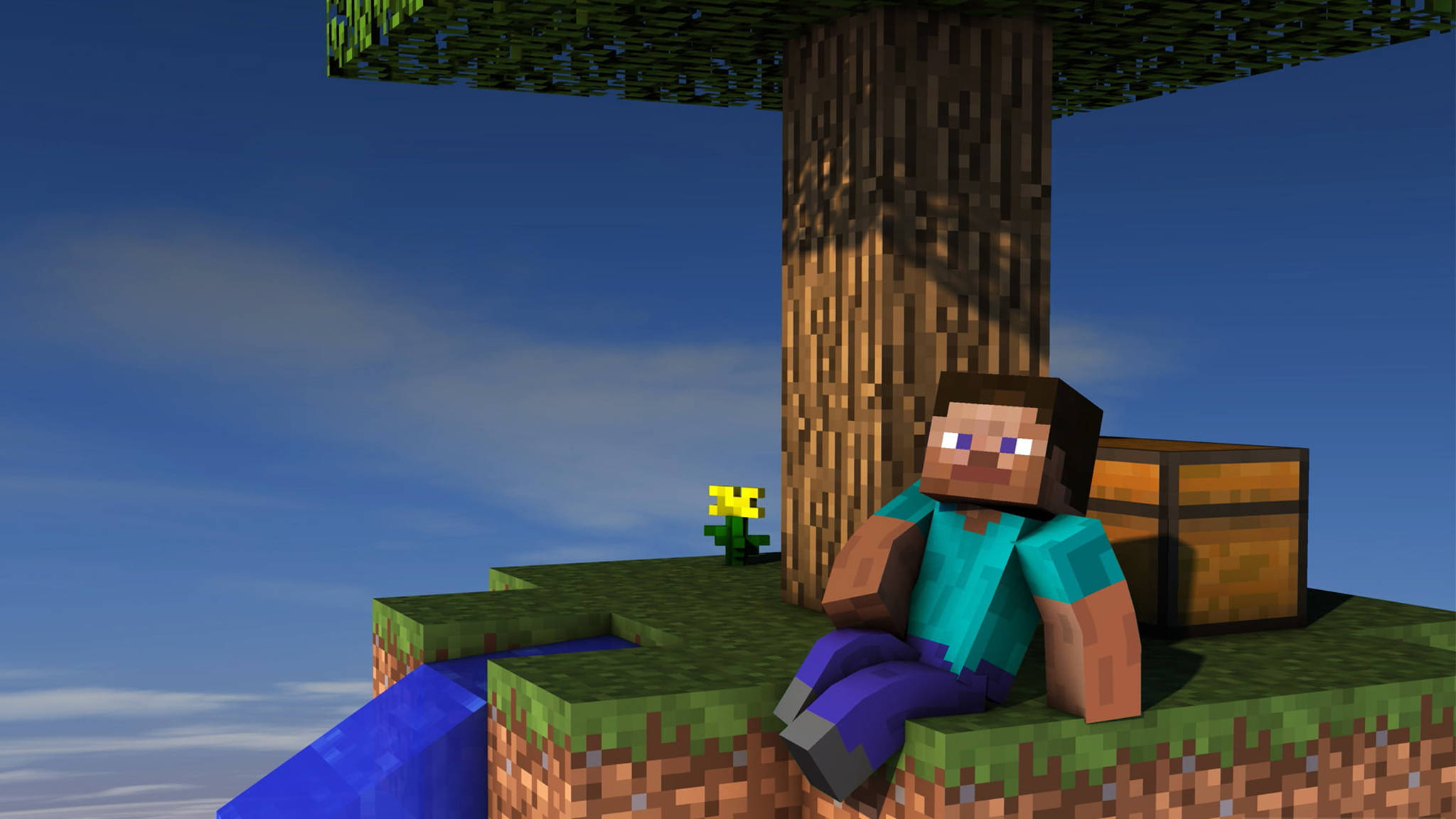 Minecraft Steve, tree, chest, Full HD Desktop Wallpaper