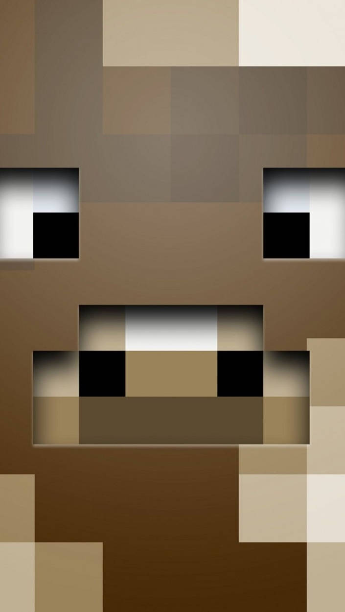 Minecraft Steve, pixelated, brown, SD Phone Wallpaper