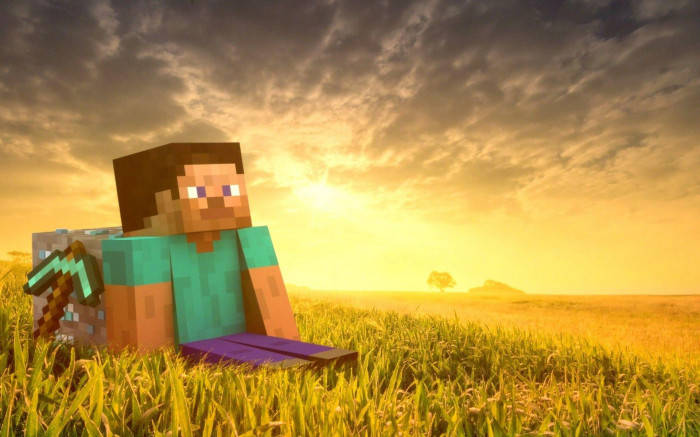 Minecraft Steve, sunset, grassy field, SD Desktop Wallpaper