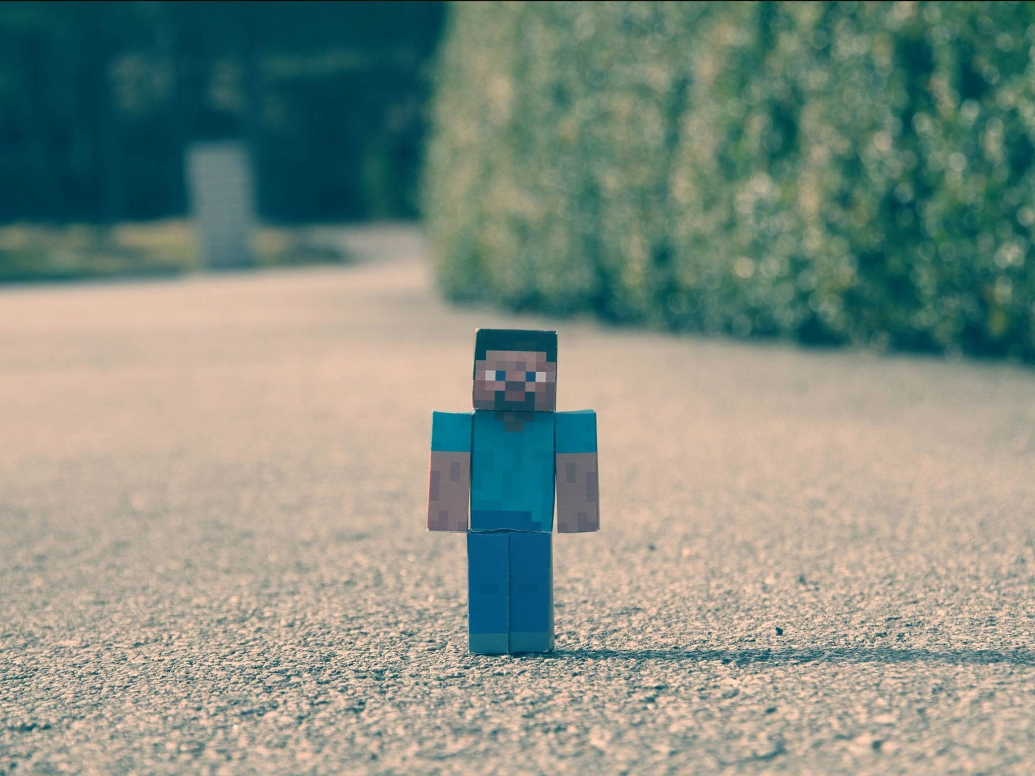 Minecraft Steve, gravel path, blurred green hedges, Full HD Desktop Wallpaper