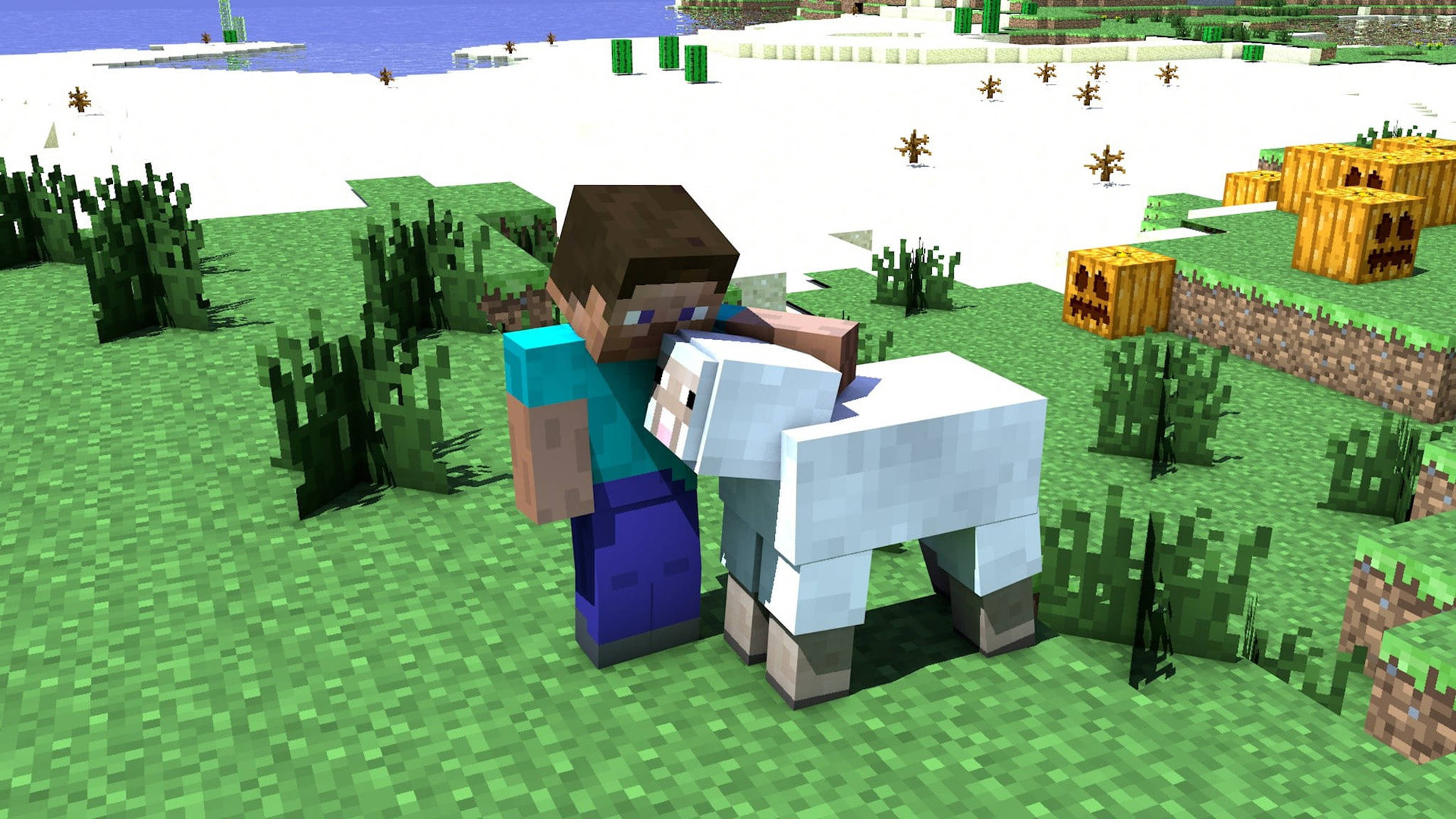 Minecraft Steve, white sheep, pixelated grassy field, Full HD Desktop Wallpaper