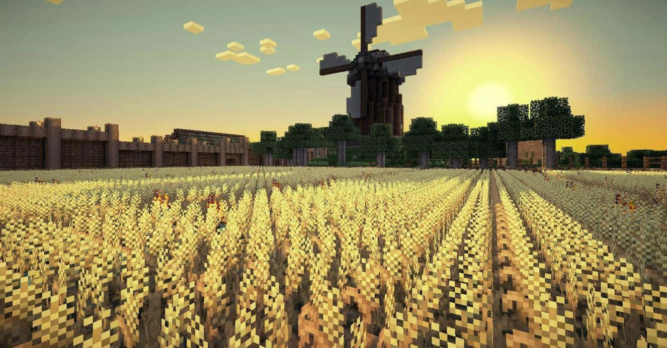 Minecraft, golden wheat, windmill, HD Desktop Wallpaper