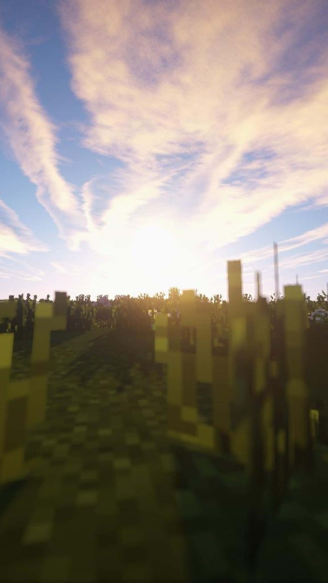 Minecraft, Sunset, pixelated Minecraft field, Full HD Phone Wallpaper