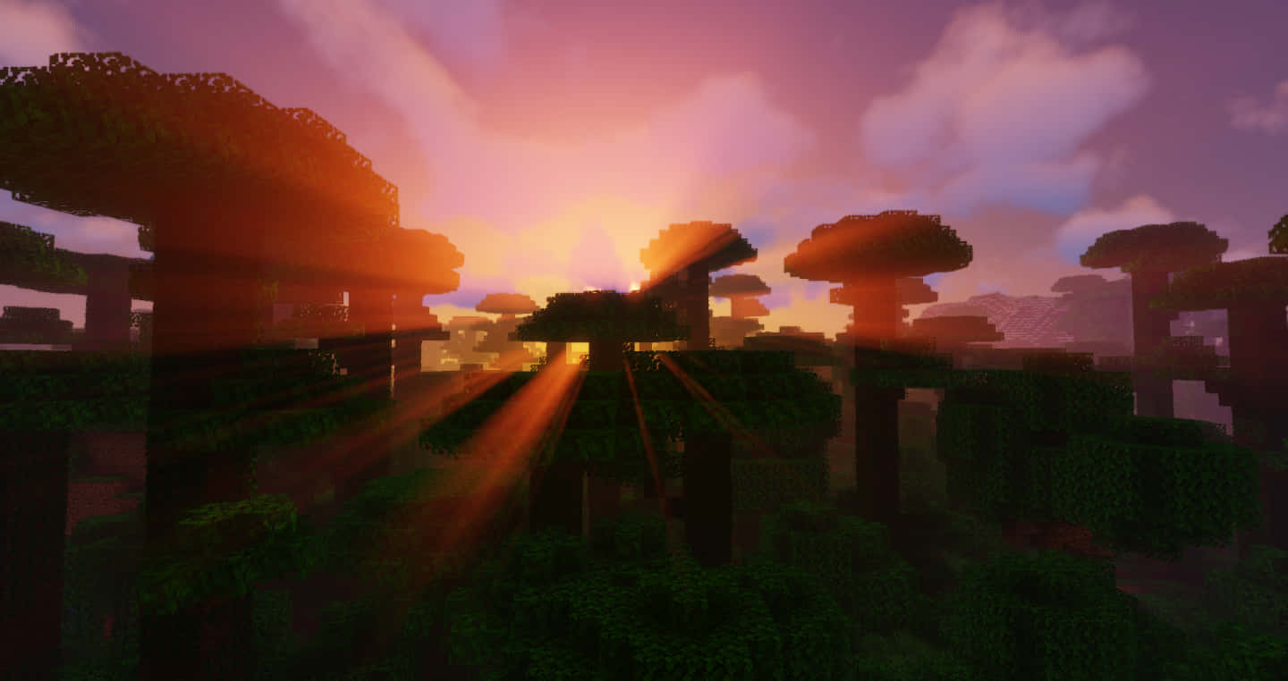Minecraft, Sunset, pixelated jungle trees, HD Desktop Wallpaper