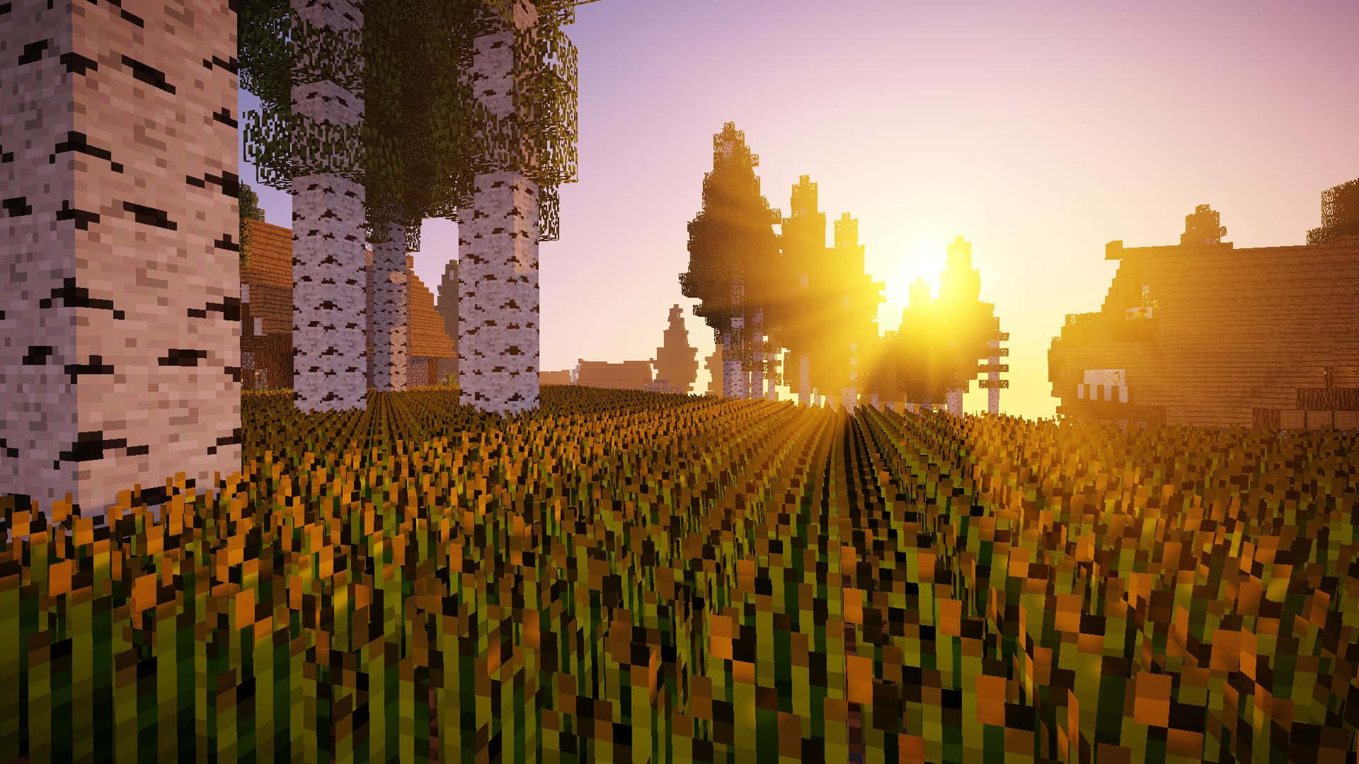 Minecraft, Sunset, pixelated Minecraft field, Full HD Desktop Wallpaper