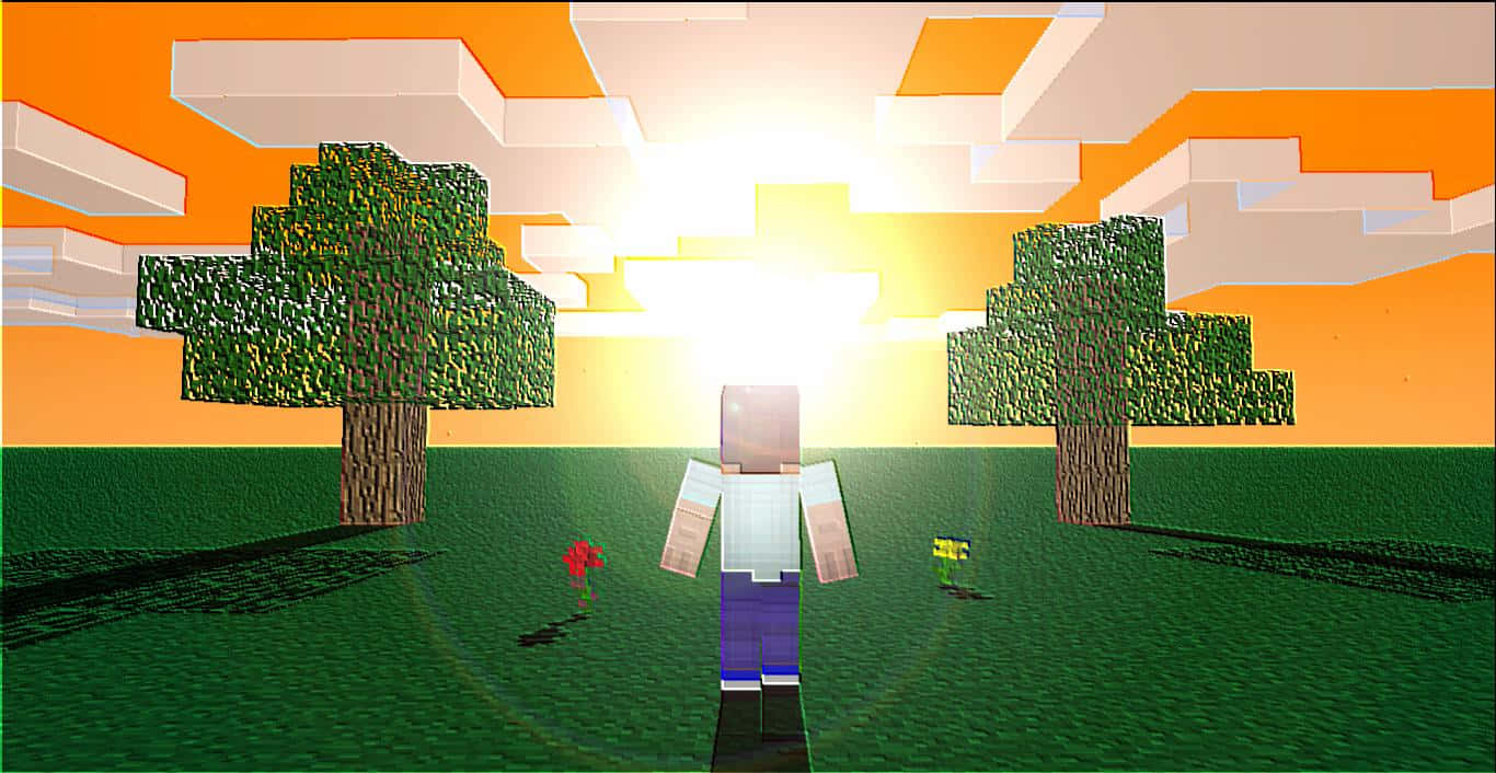 Minecraft, sunset, grassy field, HD Desktop Wallpaper