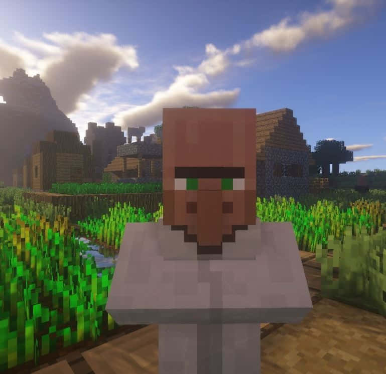 Minecraft Survival, pixelated Minecraft character, grassy field, SD Desktop Wallpaper