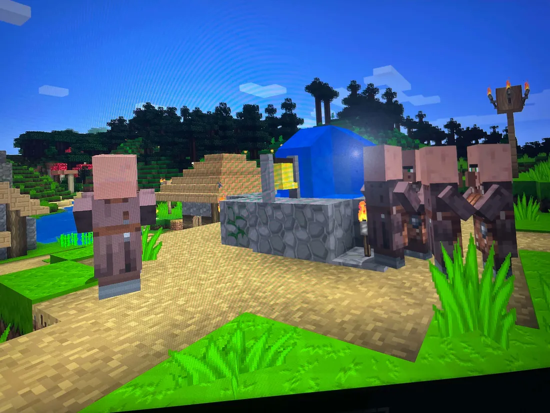 Minecraft Villages